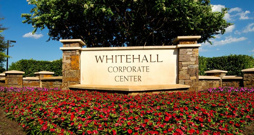 WHCC_Cocotiv_WH-EXPANISION  (5).jpeg
