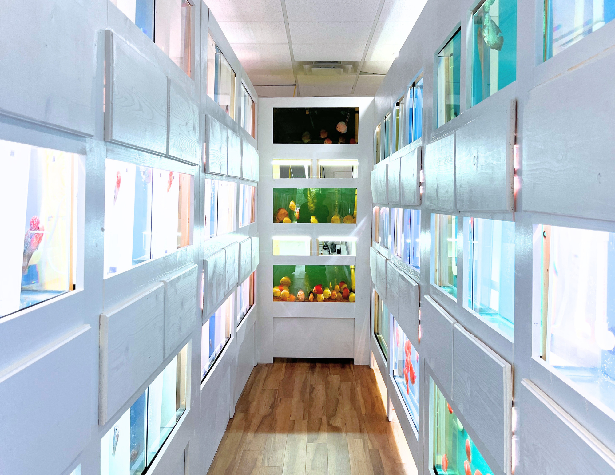 Copy of Directory Images (11 x 8.5 in) (9).png